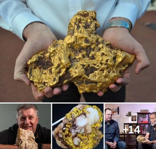 “Golden Discovery: Fortunate bulldozer operator unearths massive 21-pound gold nugget valued at $1 million”