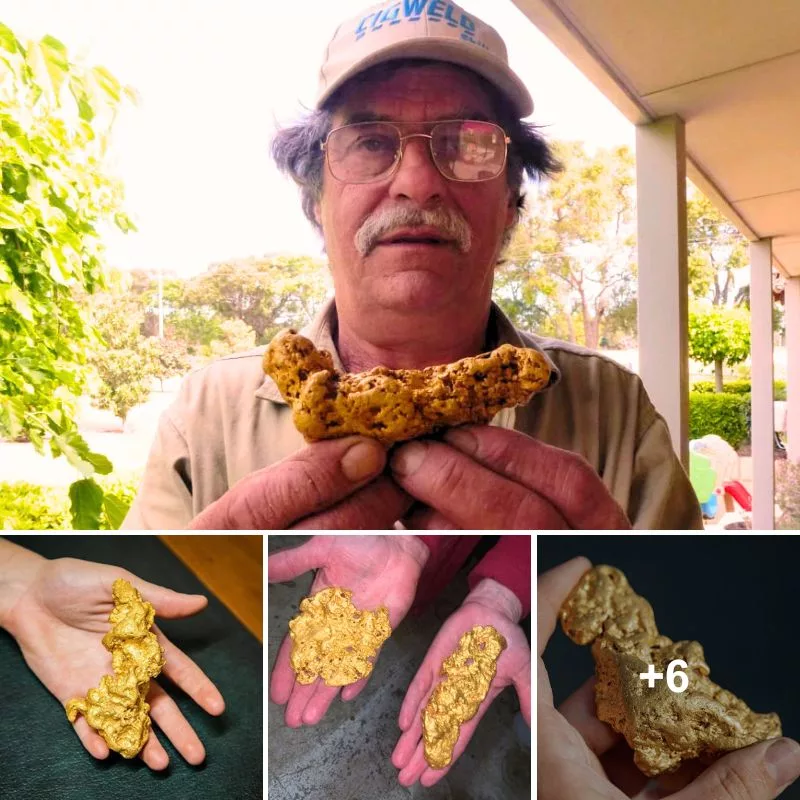 “Prospector Gary Tomasovich Strikes Gold with 997g Nugget Discovery in Western Australia’s Goldfields”