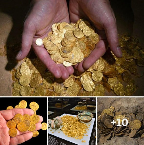 “A Lucky Day: Finding a Hidden Treasure of Ancient Gold Coins While Watching Fighting Birds”