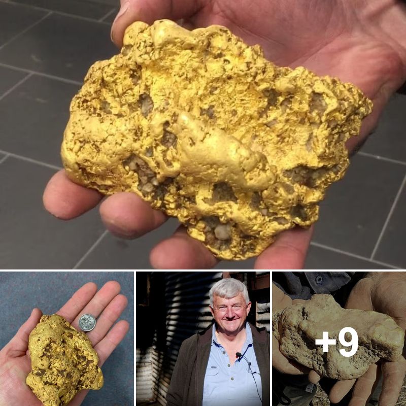 “Golden Retirement: Victorian Senior Finds Massive 2kg Nugget Worth $130,000 Near Ballarat”