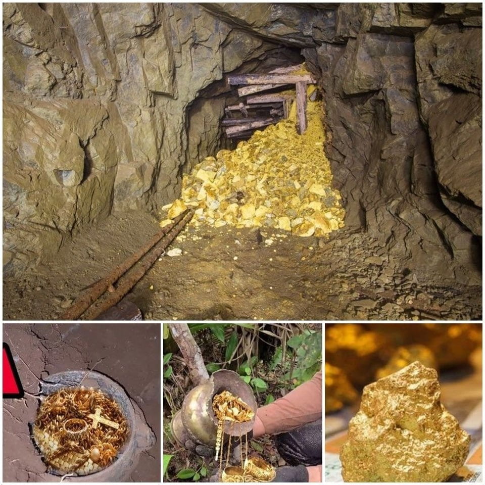 Stumbling Upon Treasure: How One Man’s Discovery of Gold Led to His Dream Home in the Backyard