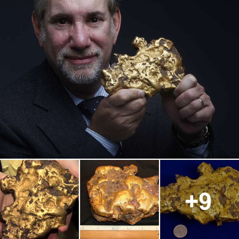 A Fortunate Discovery: The 8.2-Pound “Washington Treasure” Unearthed Near the Gold Rush Town.