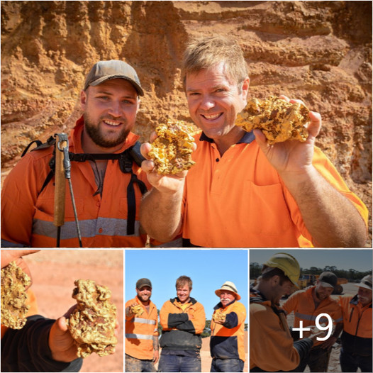 “Down Under Delight: Australian Family Stumbles upon $350,000 Worth of Gold Nuggets”