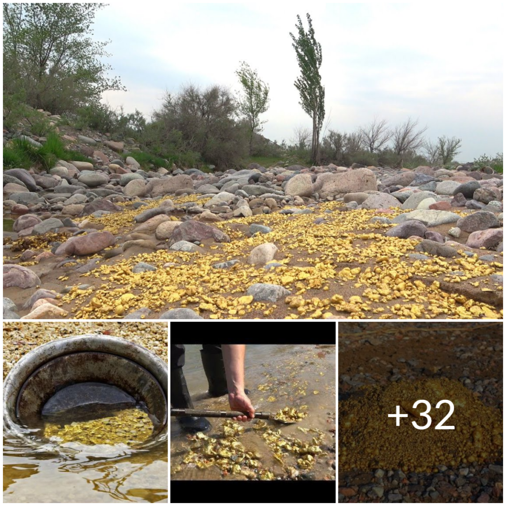 Discovering Hidden Treasures: How to Spot Gold and Diamond Deposits in Rivers. by ts.dhung.