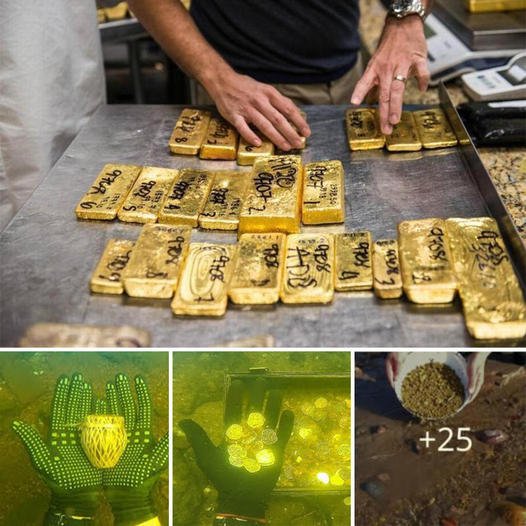 Explore the Depths: Uncovering Gold and Artifacts in an Unknown Indian River