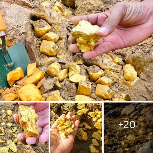 A Serendipitous Find on the Mountain’s Summit: Unearthing Gold with our Fortunate Miner!