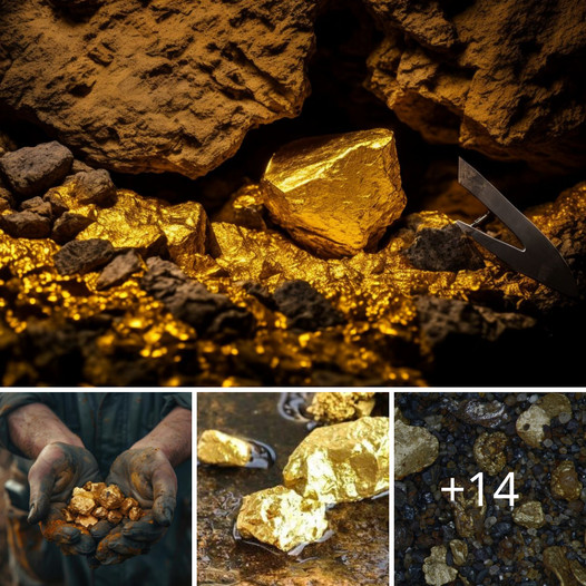 Unveiling the Secret Riches: An Adventure to Uncover the Abundant Gold Trove Buried Below the Surface by ‘ts.dhung’